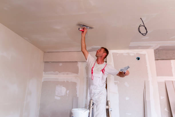 Best Custom Drywall Designs  in Crestview Hills, KY